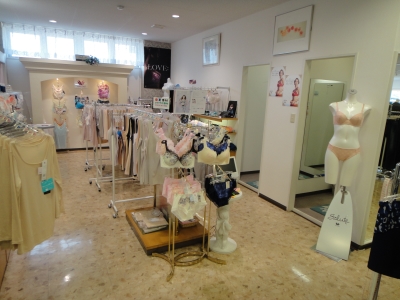 ワコールイメージ DSC01148